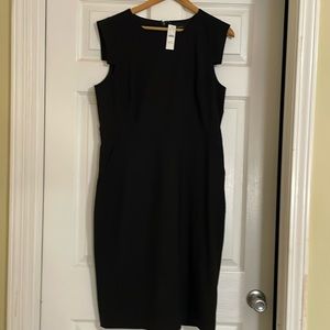 J. Crew Resume Dress
